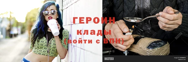 сатива Беломорск