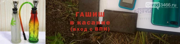 не бодяженный Богданович