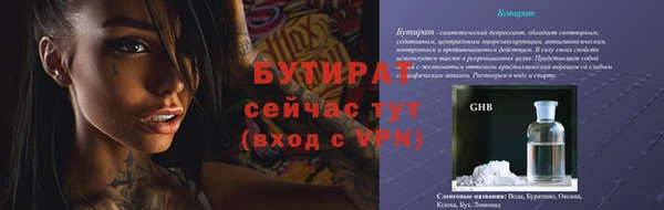 гидра Богородск