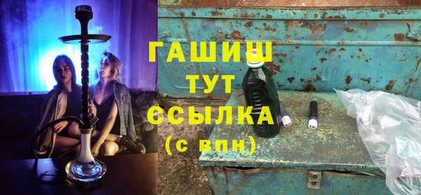 гидра Богородск