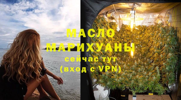гидра Богородск