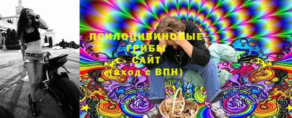 не бодяженный Богданович