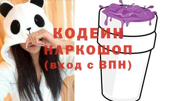 гидра Богородск