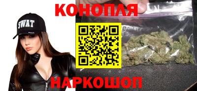 шишки Гусиноозёрск