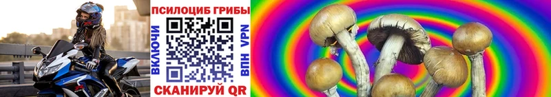 Галлюциногенные грибы прущие грибы  Сланцы 