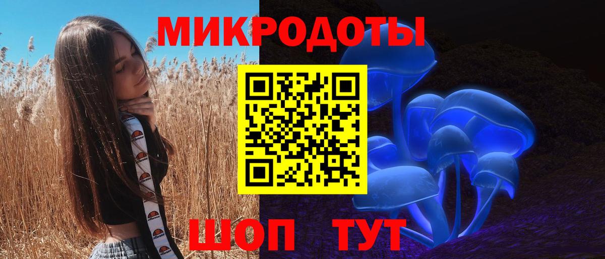Сланцы  Галлюциногенные грибы Psilocybe  Вход с VPN 