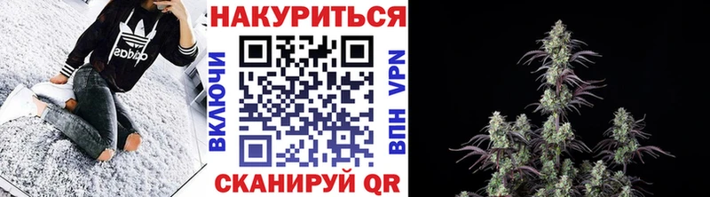 Канабис White Widow мориарти наркотические препараты Сланцы